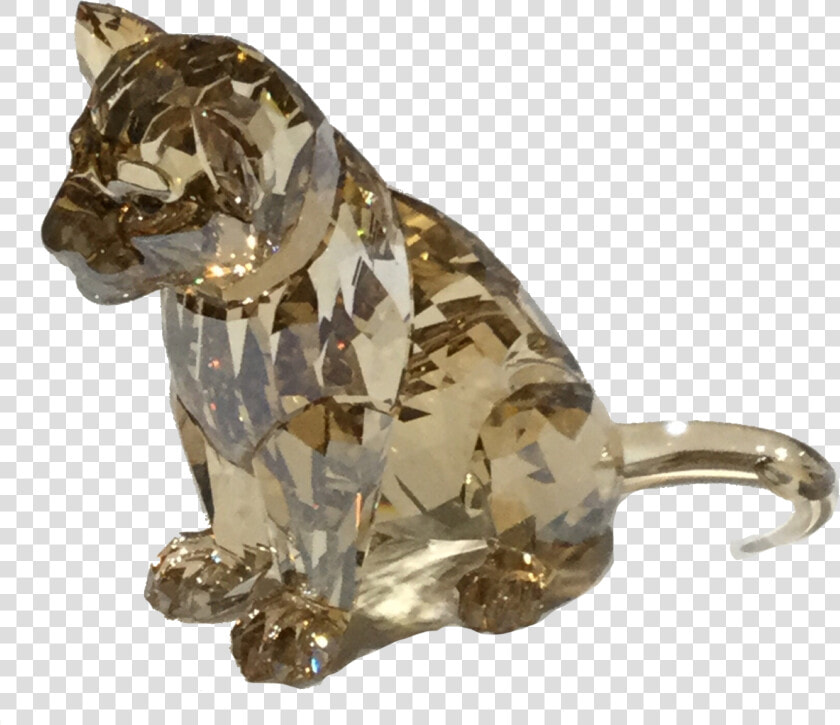 2016 Scs Lion Cub   Boxer  HD Png DownloadTransparent PNG