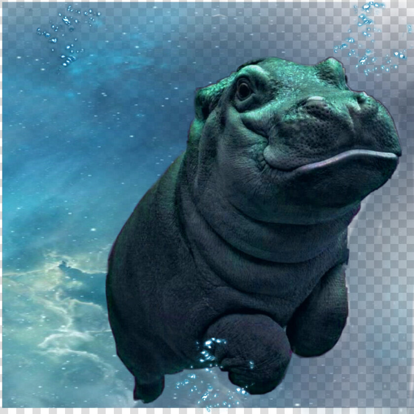  freetoedit  hippopotamus  hippo  happy  underwater  HD Png DownloadTransparent PNG