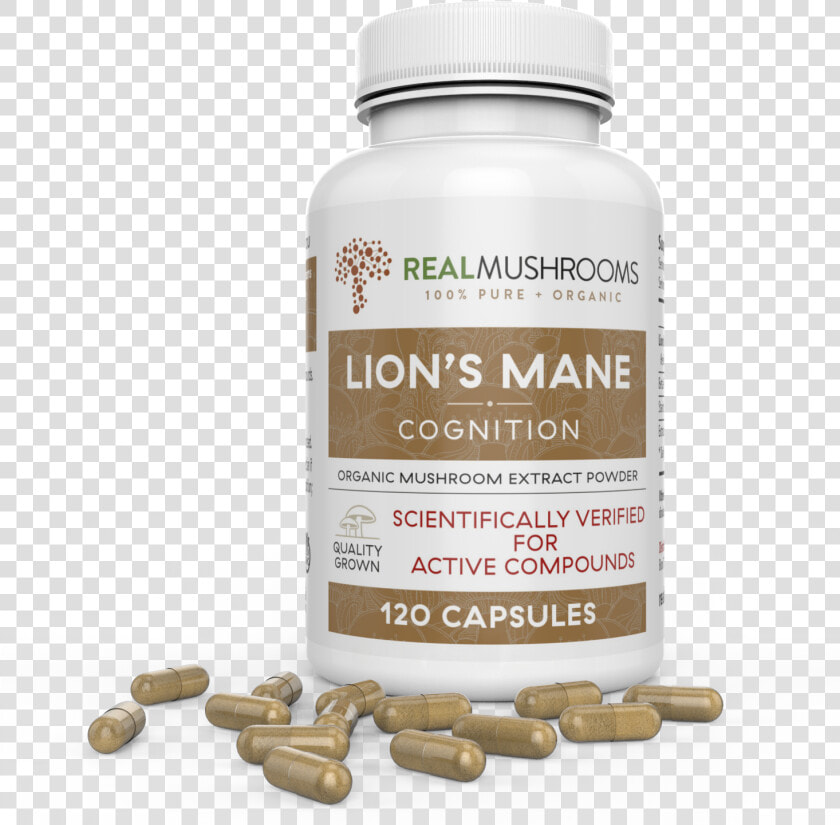 Lions Mane Extract   Lion  39 s Mane Mushroom Pills  HD Png DownloadTransparent PNG