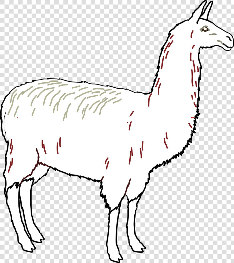 Llama Animal Mammal Free Picture   Ham Tina  HD Png DownloadTransparent PNG