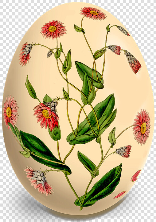 Egg  Easter Egg  Flowers  Easter  Easter Decorations  HD Png DownloadTransparent PNG