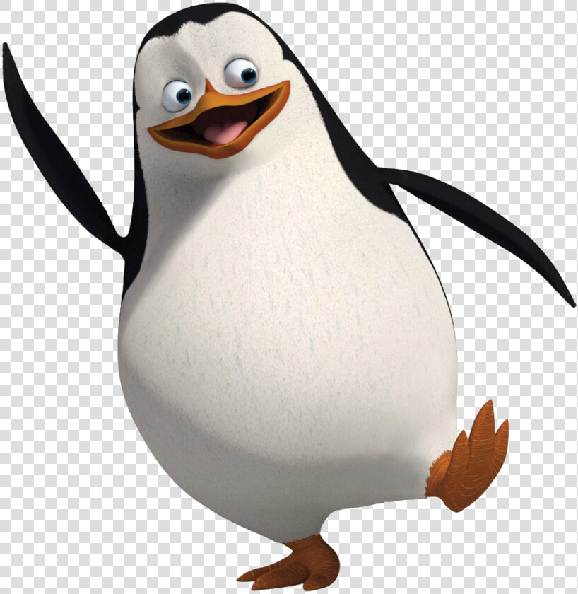 Recruta Pinguins Do Madagascar  HD Png DownloadTransparent PNG