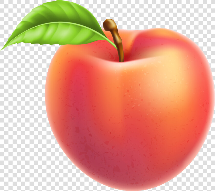 Peaches Clipart Fruit Plant   Peach Fruit Clipart  HD Png DownloadTransparent PNG