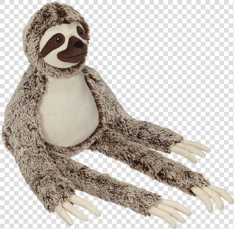 Sloth   Adã©lie Penguin  HD Png DownloadTransparent PNG