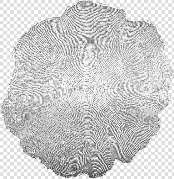 Doily  HD Png DownloadTransparent PNG