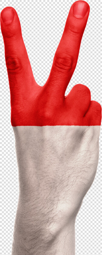 Indonesia Flag Hand   Gambar Tangan Bendera Indonesia  HD Png DownloadTransparent PNG