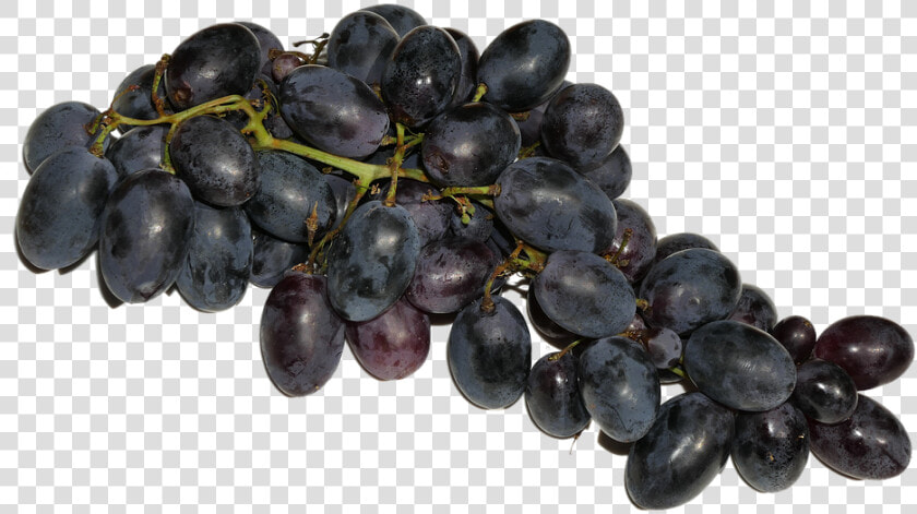 Grapes  Blue  Fruit  Fruits  Eat  Food  Delicious    Grapes Fruits Png  Transparent PngTransparent PNG