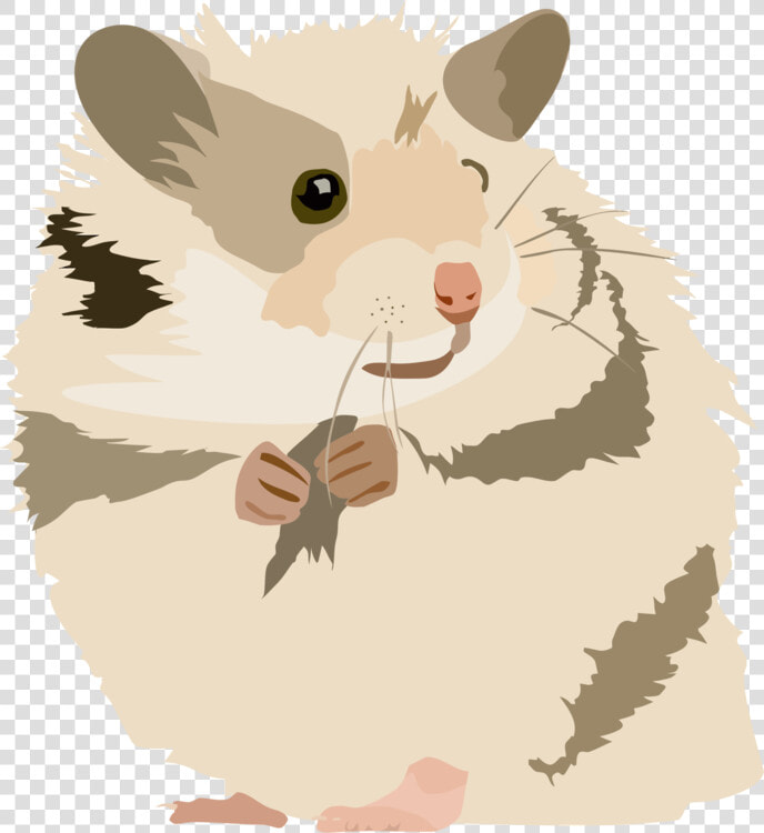 Snout muridae tail   Hamster Clipart Png  Transparent PngTransparent PNG