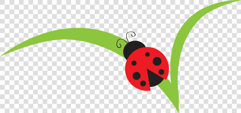 Lady Beetle Clipart Red Ladybug   Lady Bugs Clip Art  HD Png DownloadTransparent PNG