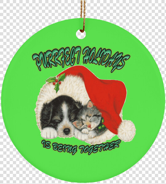 Transparent Christmas Cat Png   Christmas Dogs And Cats  Png DownloadTransparent PNG