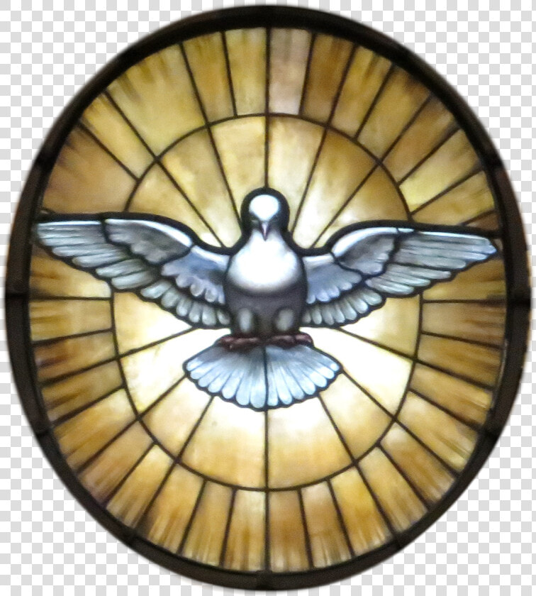 Drawing Holy Spirit Dove  HD Png DownloadTransparent PNG