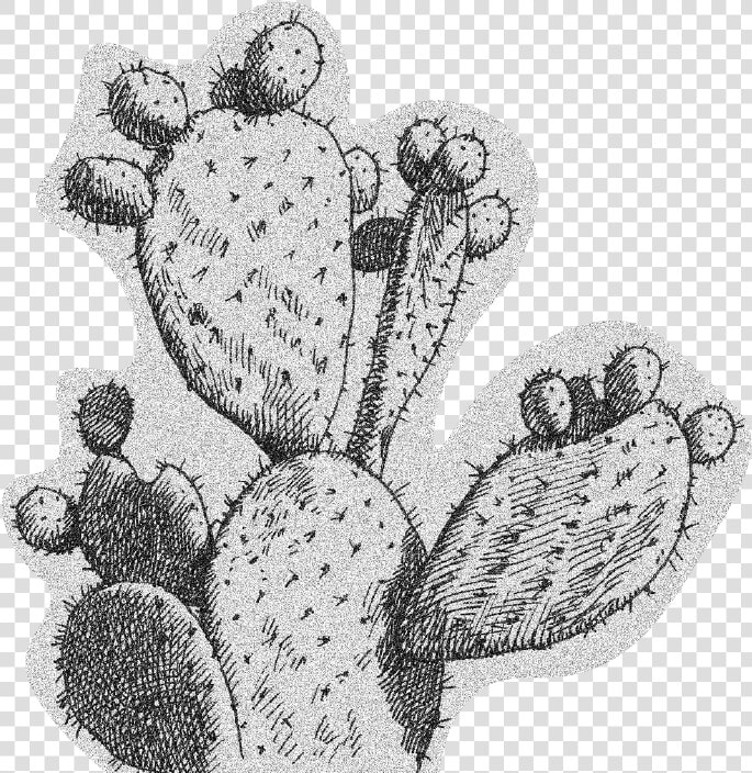 Page About How To Eat Nopal   Sketch  HD Png DownloadTransparent PNG