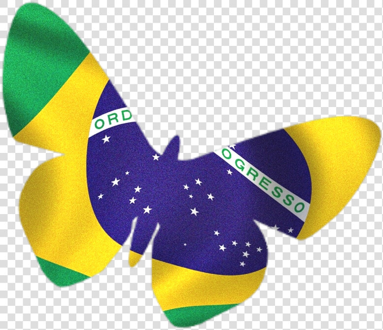 Bandeira Do Brasil Estilizada Em Png   Flag Of Brazil  Transparent PngTransparent PNG