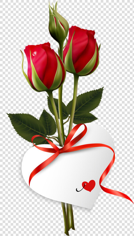 Good Morning Wishes Quotes   Good Morning With Rose  HD Png DownloadTransparent PNG