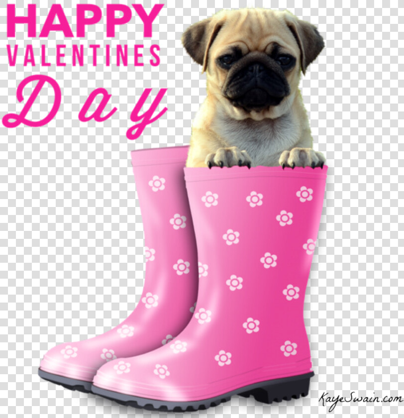 3 Kbytes  Photo   Happy Valentines Day Dog  HD Png DownloadTransparent PNG