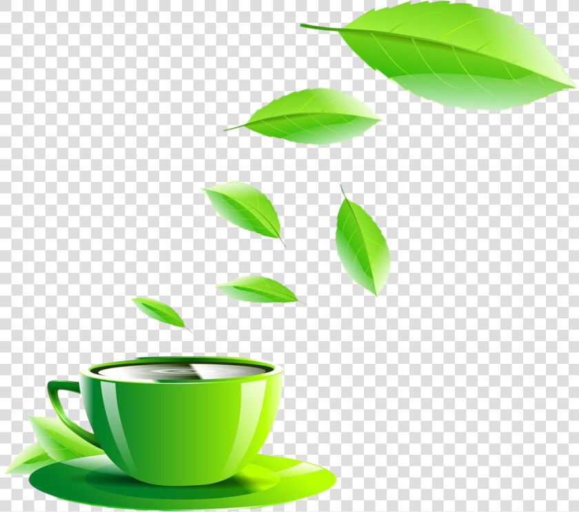 Clipart Cup Green Coffee   Green Tea Cup Png  Transparent PngTransparent PNG