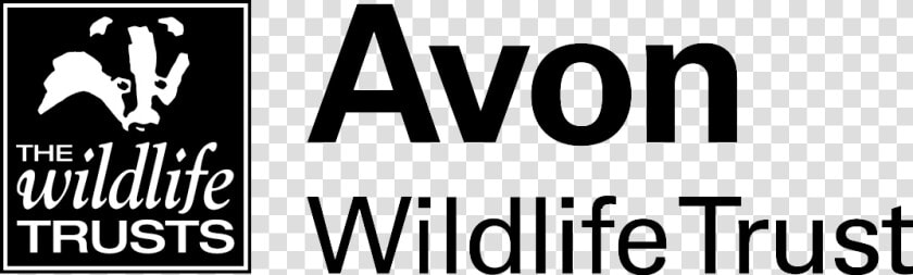 Home   Avon Wildlife Trust Logo  HD Png DownloadTransparent PNG