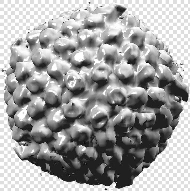 Herpes Simplex Virus Png  Transparent PngTransparent PNG