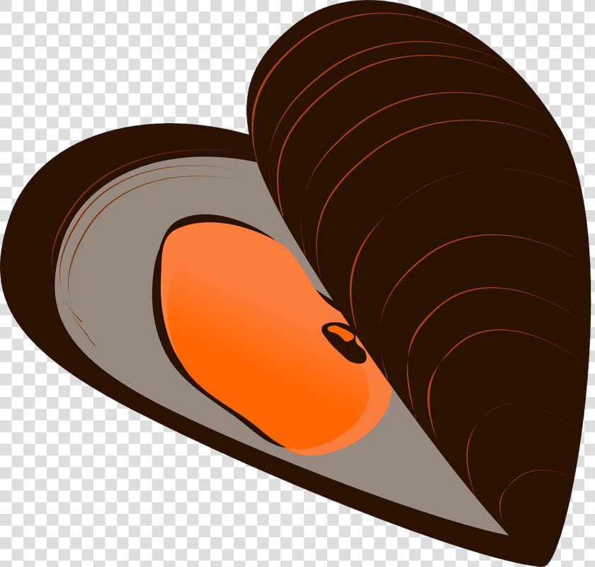 Mussel Clipart  HD Png DownloadTransparent PNG