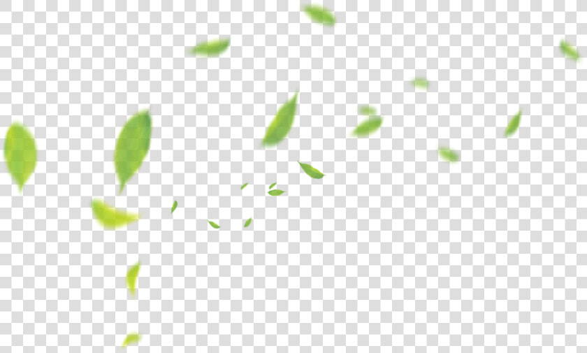 Clip Art Green Pattern Transprent Png   Tea Leaf Floating Png  Transparent PngTransparent PNG