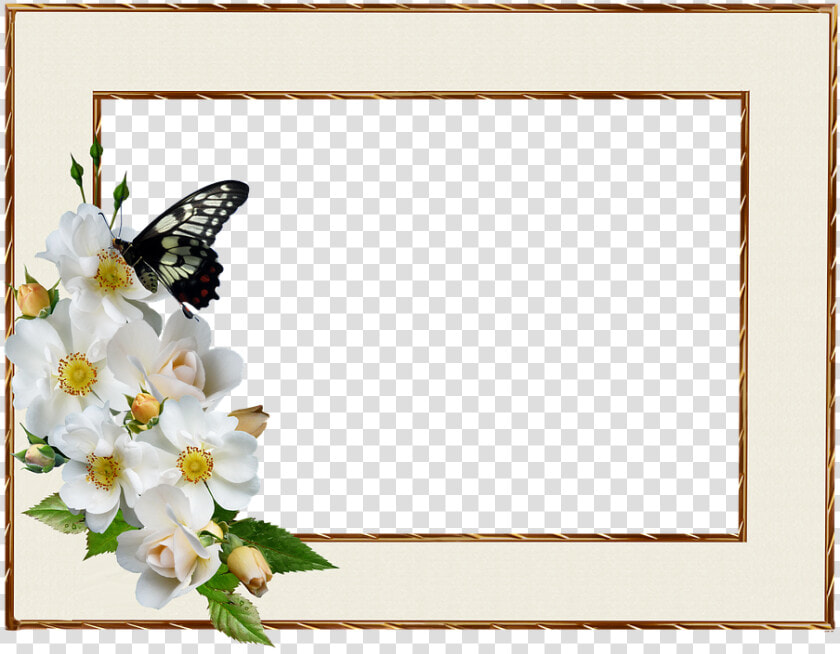 Transparent White Rose Border Png   Positive Thursday Blessing Quotes  Png DownloadTransparent PNG