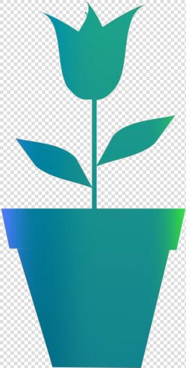 Tulip Flower Pot Png Free Clipart   Flower  Transparent PngTransparent PNG