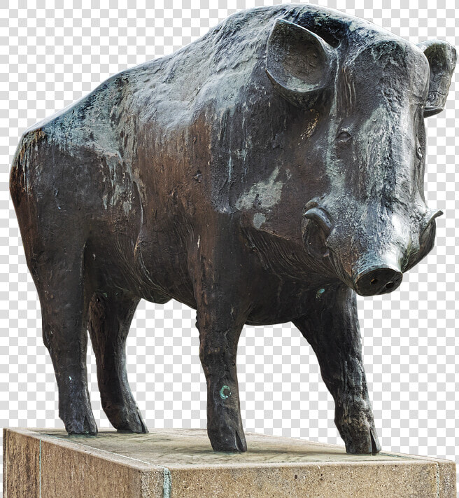 Boar Png  Transparent PngTransparent PNG