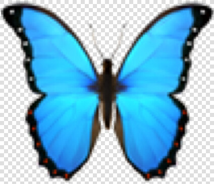  emoji  emojiface  emojis  cute  aesthetic  multicolor   Blue Butterfly Emoji Png  Transparent PngTransparent PNG