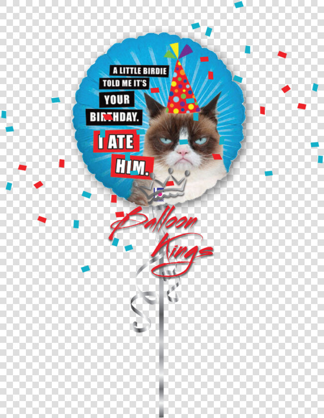 Hb Grumpy Cat   Get Well Soon Balloon Transparent  HD Png DownloadTransparent PNG