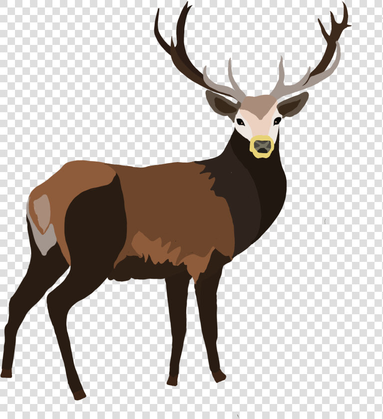 Stag   Stag Cartoon Png  Transparent PngTransparent PNG