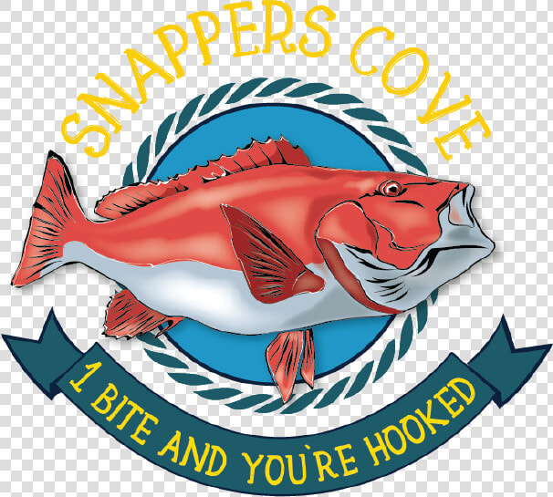 Snapper Cove Ormond  HD Png DownloadTransparent PNG