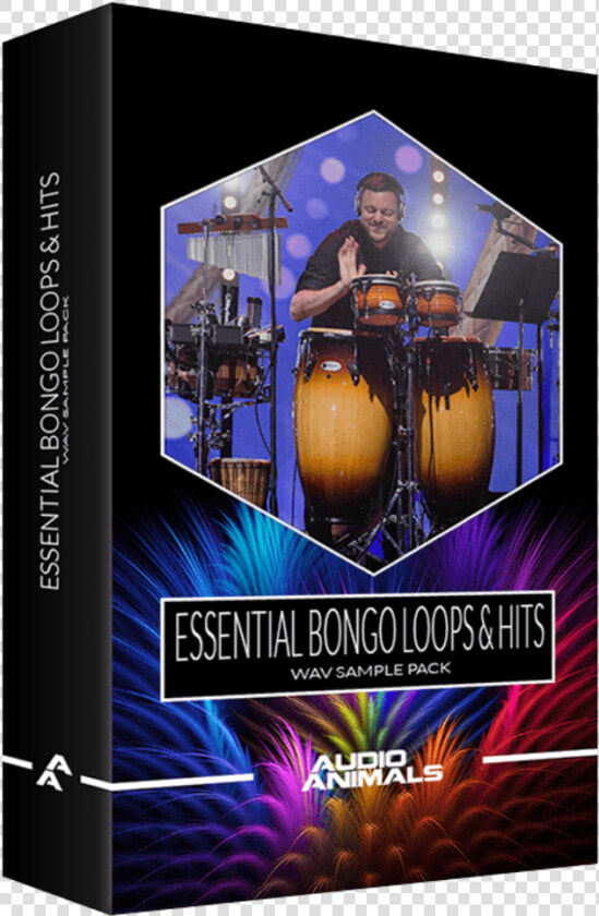 Essential Bongo Loops  amp  Hits   Flyer  HD Png DownloadTransparent PNG