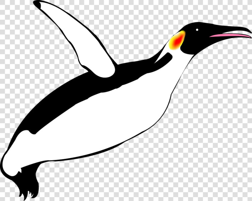 Pinguim Voador  Pinguim  Pinguins   Penguin Flying Clip Art  HD Png DownloadTransparent PNG