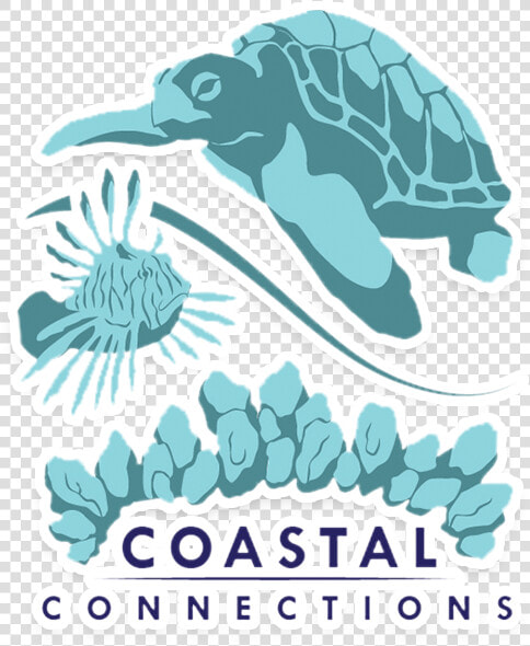 Coastal Connections Vero Beach  HD Png DownloadTransparent PNG