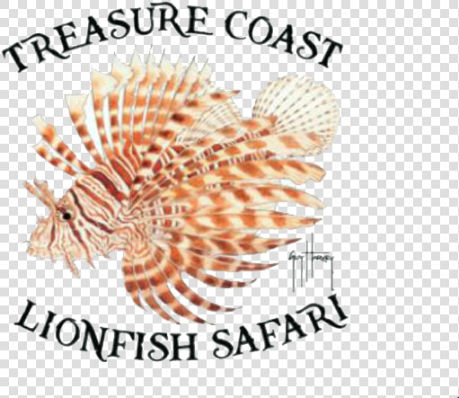 Tc Lionfish Safari   Lionfish  HD Png DownloadTransparent PNG