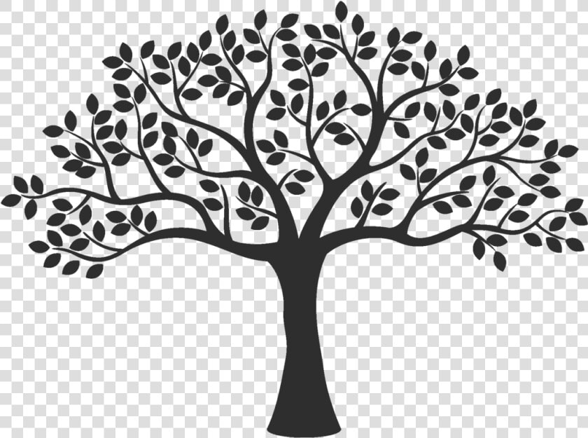 Vector Graphics Illustration Silhouette Royalty free   Tree Black And White  HD Png DownloadTransparent PNG