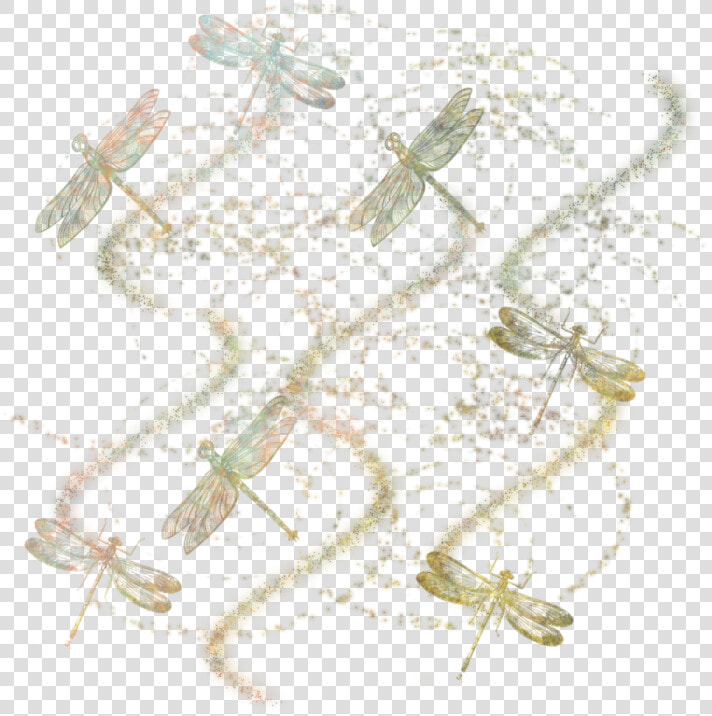 Dragonfly Masked Texture 800 X   Net winged Insects  HD Png DownloadTransparent PNG