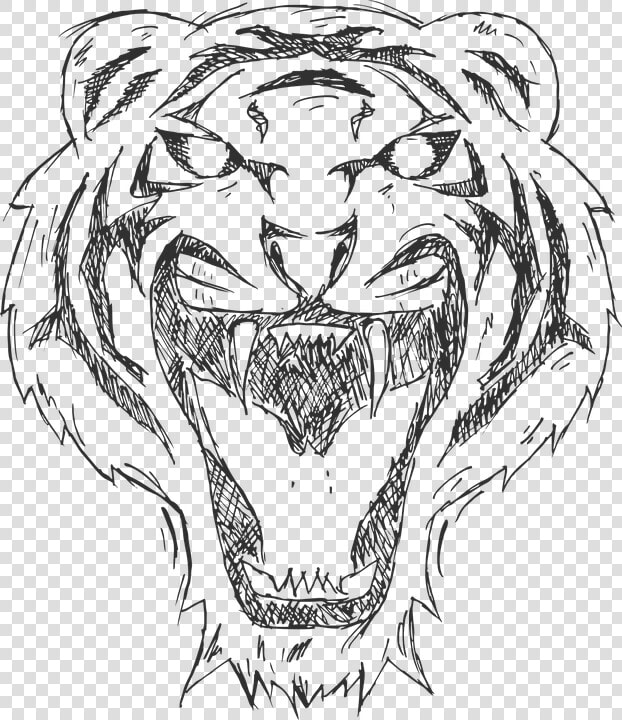 Tiger  Cartoon  Animal  Illustration  Black  White   White Tiger Arts Png  Transparent PngTransparent PNG