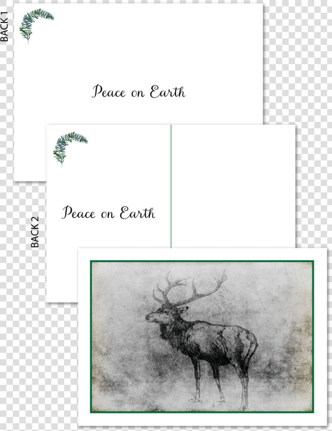 Majestic Stag Holiday Postcard data caption   Elk  HD Png DownloadTransparent PNG