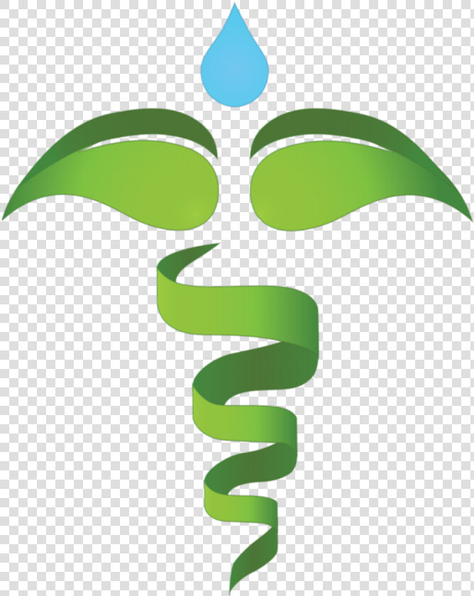 Caduceus Vector Green Medical Symbol  HD Png DownloadTransparent PNG