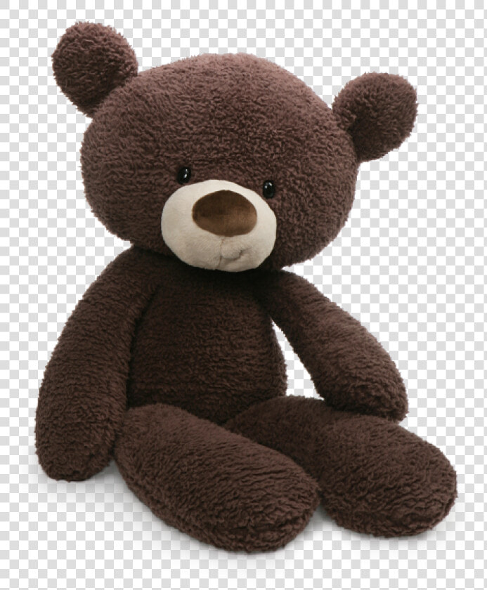 Fuzzy Chocolate   Gund Fuzzy Bear Plush  HD Png DownloadTransparent PNG