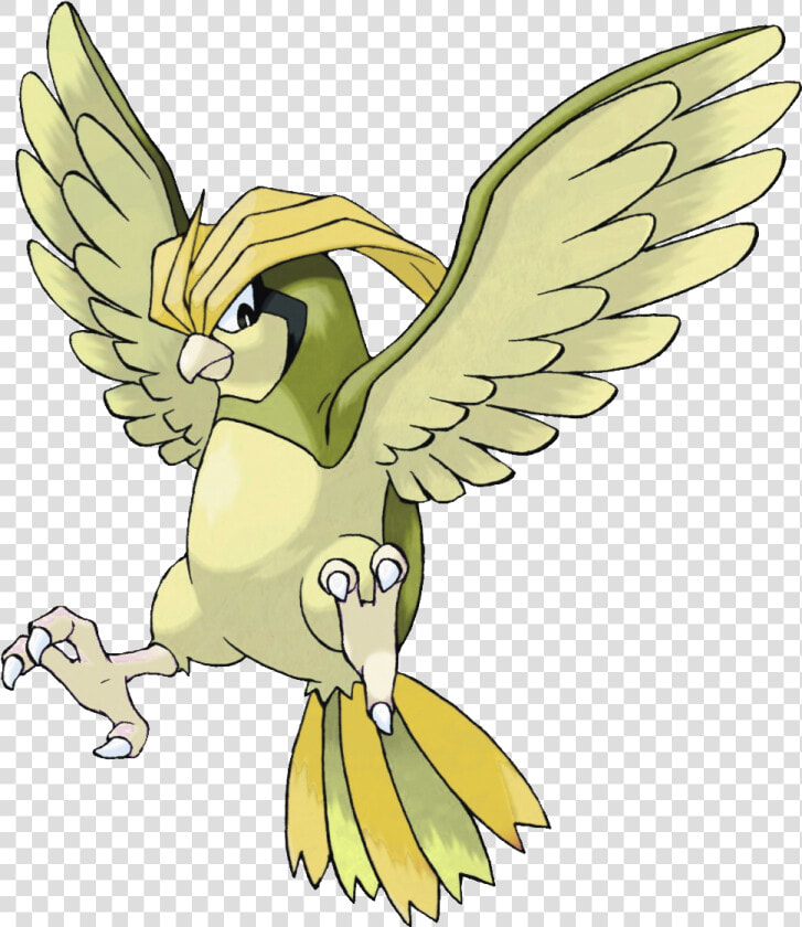 Transparent Pidgeot Png   Pokemon Pidgeotto  Png DownloadTransparent PNG