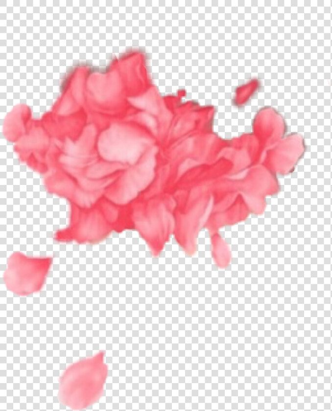  troyesivan  troyesivanwild  troyesivanflowers  pink   Troye Sivan Flower Png  Transparent PngTransparent PNG