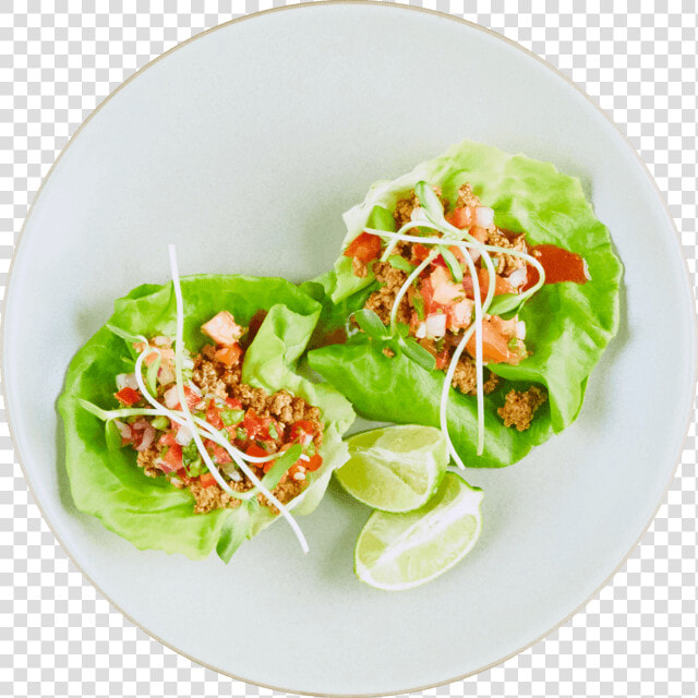 Pico De Gallo Png  Transparent PngTransparent PNG