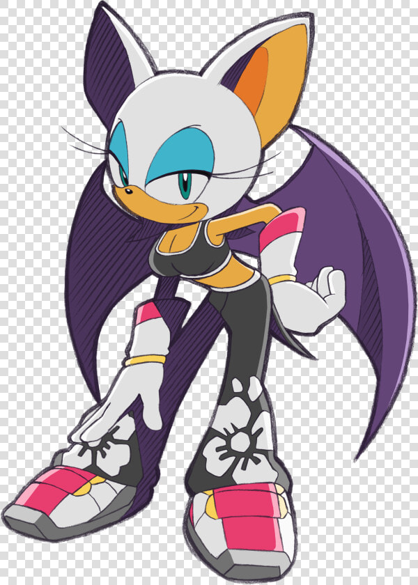 Transparent Sonic Riders Logo Png   Rouge Sonic Free Riders  Png DownloadTransparent PNG