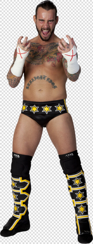 Cm Punk   Cm Punk Wwe Champion 2014  HD Png DownloadTransparent PNG