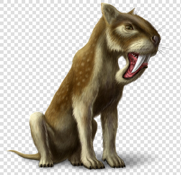 Transparent Saber Tooth Tiger Png   Cat Yawns  Png DownloadTransparent PNG