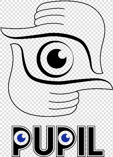 Pupil  HD Png DownloadTransparent PNG