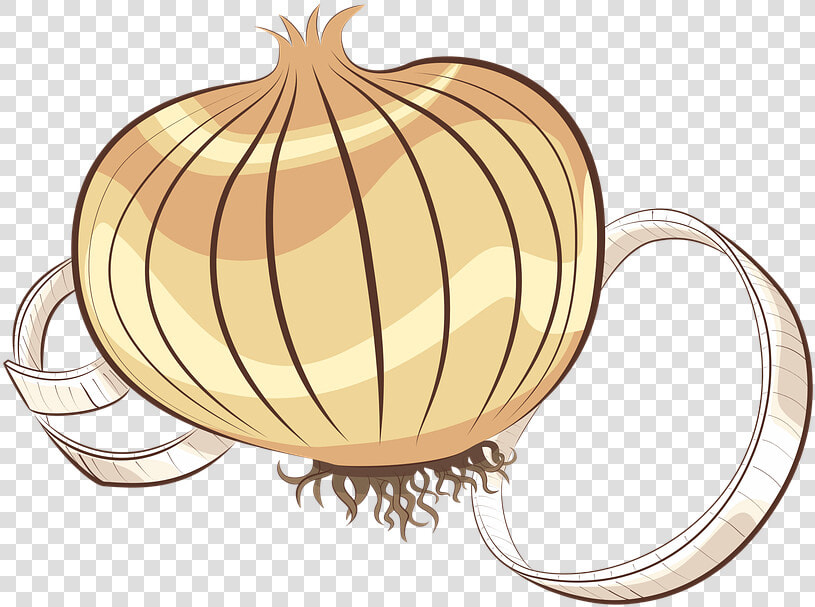 Onion Clipart Onion Vegetable  HD Png DownloadTransparent PNG