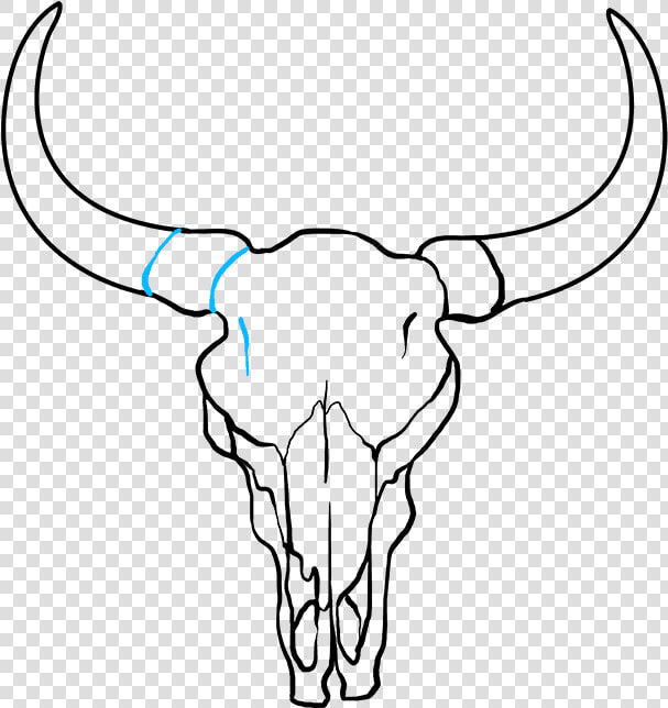 How To Draw Bull Skull   Buffalo Skull Easy Drawing  HD Png DownloadTransparent PNG